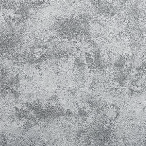 Silver Dust