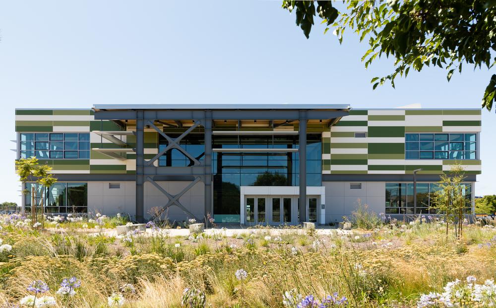 A faraway shot of Mount Eden High School utilizing Nichiha’s fiber cement cladding in white and two different shades of green. There’s a field of flowers in front of the building.