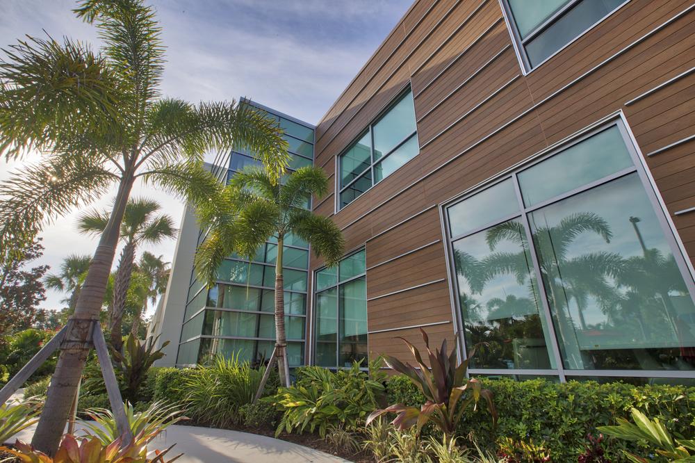 An office building with cedar fiber cement siding. The perimeter is landscaped with beautiful palm trees and other plants along the sidewalk.