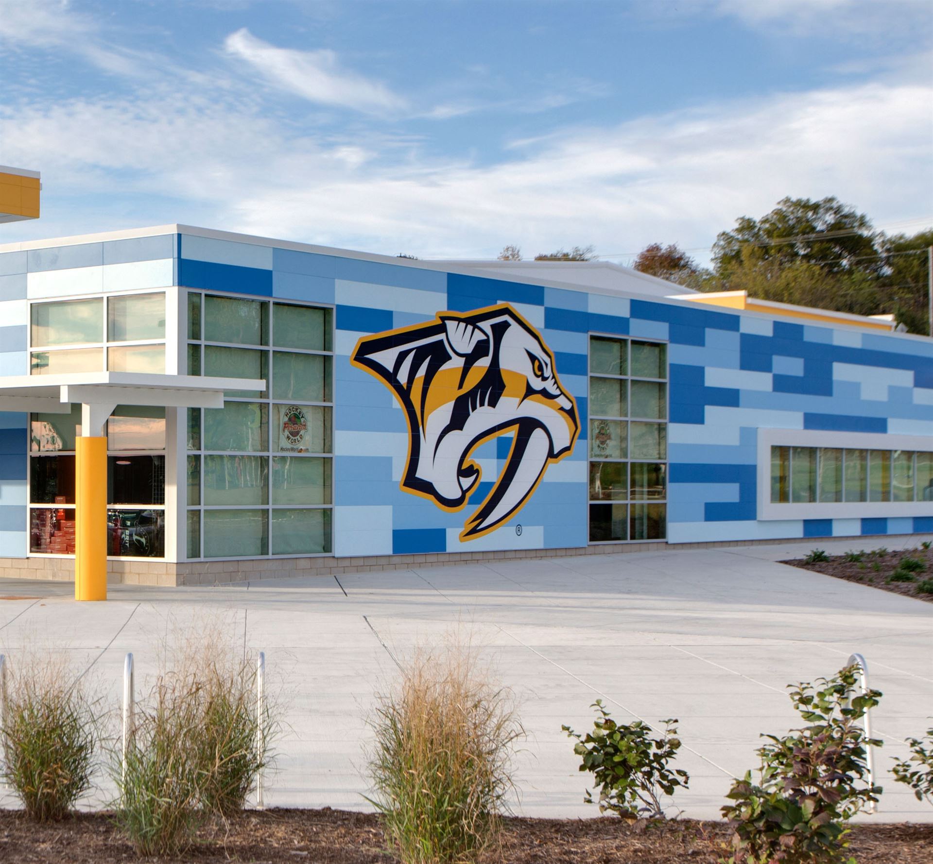 Close up of mural on Ford Ice Center side wall